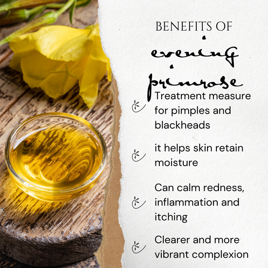 Golden Milk Aromatherapy Botanical Essence