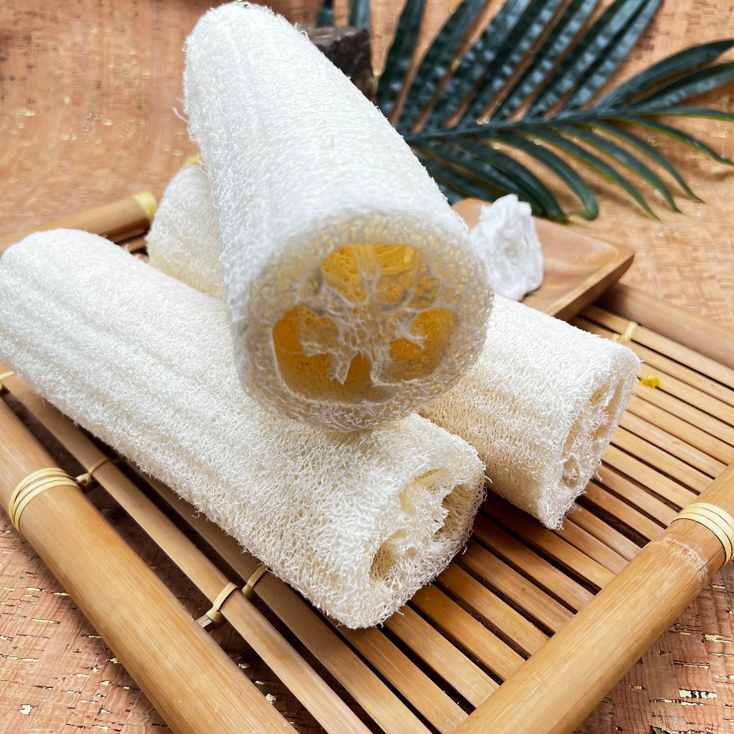Body Loofah Sponge | Organic Loofah Sponge | Cream & Coco Skincare