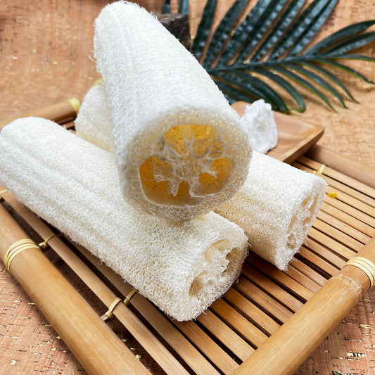 Body Loofah Sponge | Organic Loofah Sponge | Cream & Coco Skincare